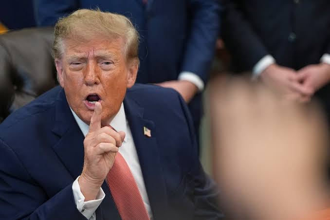 donald trump biography
